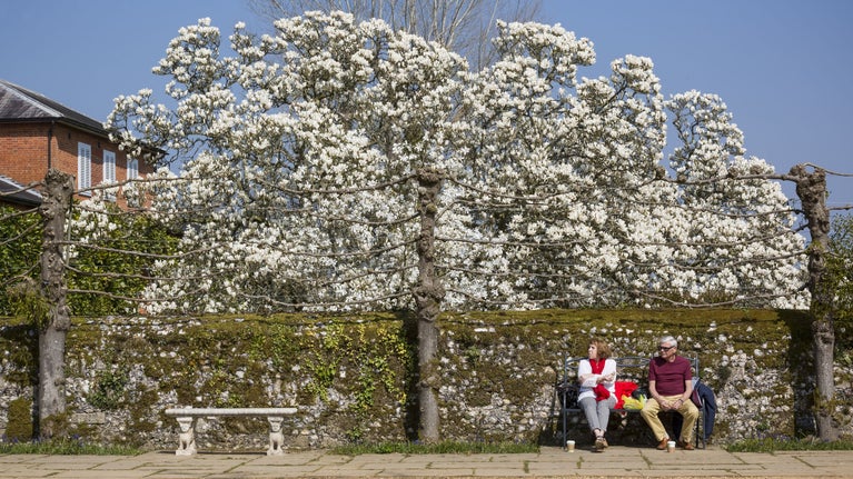 Visitors in the Walled Garden in spring at Mottisfont, Hampshire